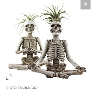 ISO Trader Joe's Yoga Skelton Planters